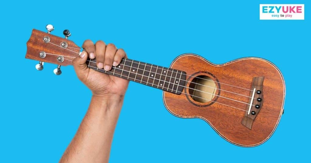 อูคูเลเล่ (Ukulele) สำหรับมือใหม่ แบบไหนดี